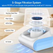 Load image into Gallery viewer, INSE P30 Dog Grooming Vaccum, 4.5L Large Capacity Pet Grooming Vacuum Kit, 5-in-1 Ultra-Low Noise Pet Grooming Vacuum for Dogs, Cats