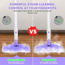 Load image into Gallery viewer, INSE Steam Mop,All-in-One Scrubbing and Sanitizing Detachable Floor Steamer,11 Accessories for Upholstery,Carpet &amp; Furniture
