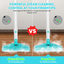 Load image into Gallery viewer, INSE Steam Mop,All-in-One Scrubbing and Sanitizing Detachable Floor Steamer,11 Accessories for Upholstery,Carpet &amp; Furniture
